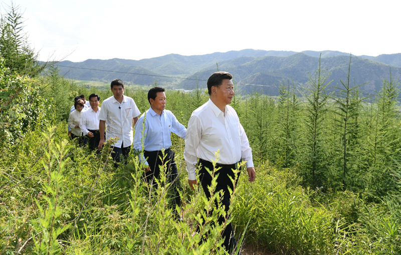 7月15日至16日，中共中央总书记、国家主席、中央军委主席习近平在内蒙古考察并指导开展“不忘初心、牢记使命”主题教育。这是15日下午，习近平在赤峰市喀喇沁旗马鞍山林场林区，沿着崎岖的护林小道察看林木长势。